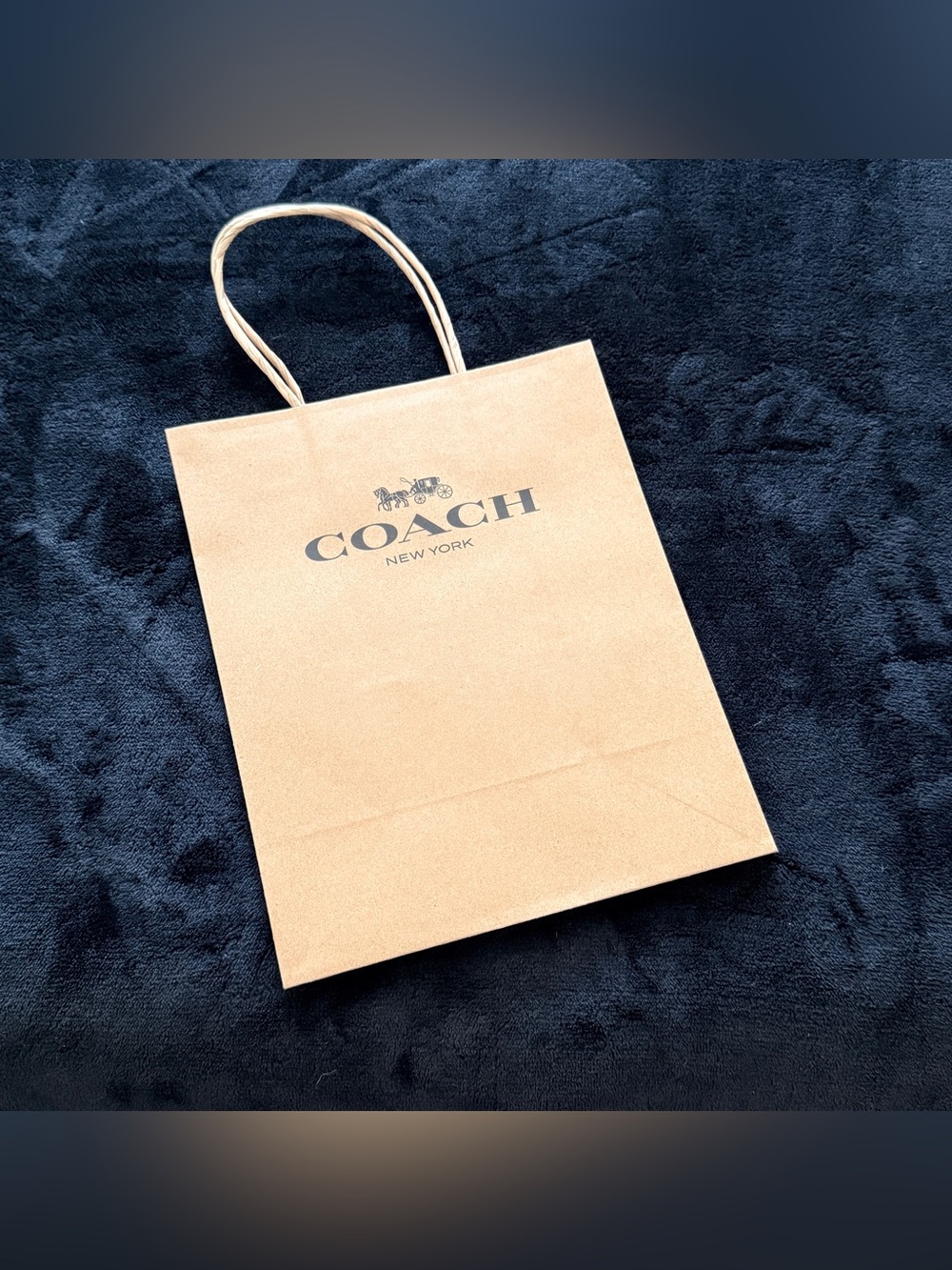 Coach Paper Gift Bag Shopping Bag